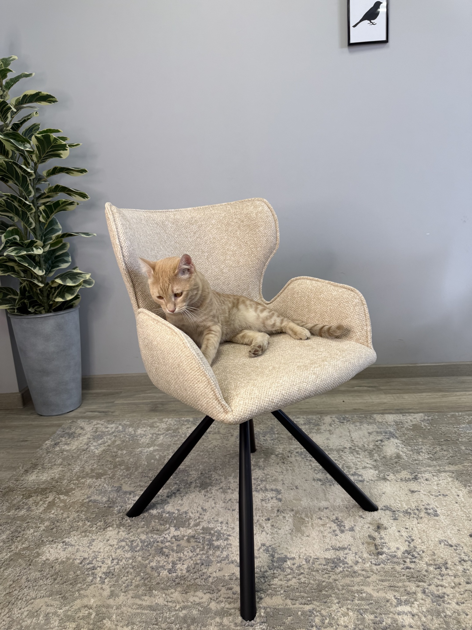 ОБЕДЕННАЯ МЕБЕЛЬ 311SD (УТ-00005192)