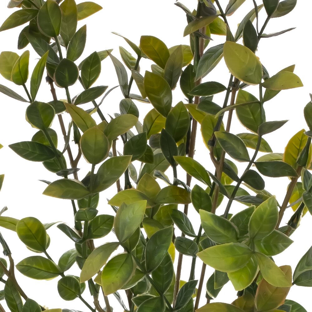 АКСЕССУАРЫ REMECO CLUB (УТ-00005025)