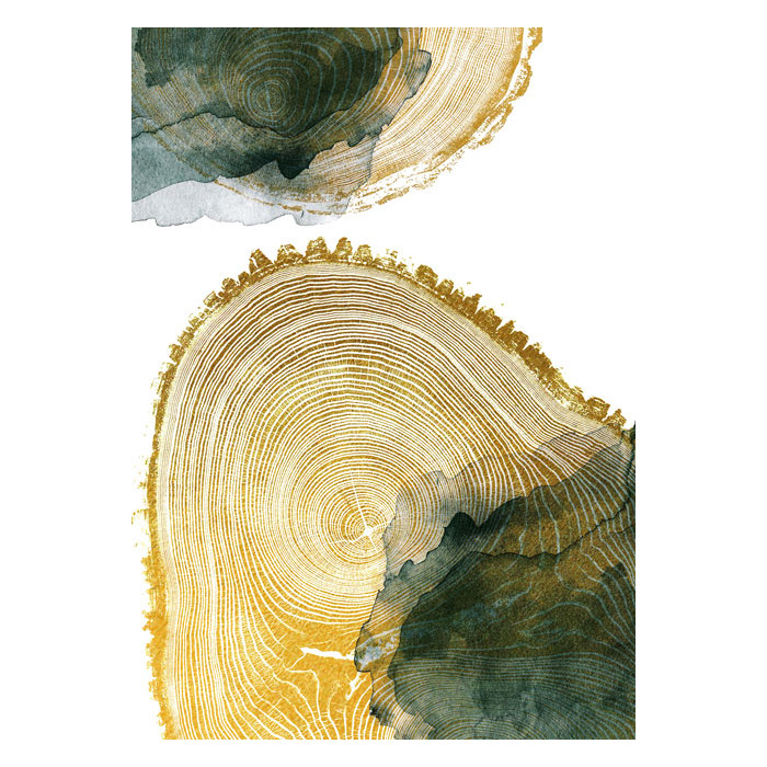 АКСЕССУАРЫ КАНВАС ПОСТЕР (00-00003715)