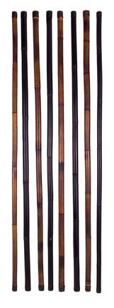 РАСТЕНИЕ ДЕКОР. TRANSIT (00-00000296)