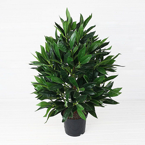 РАСТЕНИЕ ДЕКОР. FLOWER-А (00-00002034)