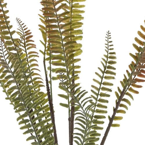 АКСЕССУАРЫ REMECO CLUB (УТ-00005023)