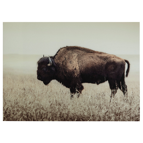 АКСЕССУАРЫ WALL DECOR (00-00001478)