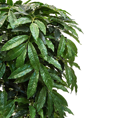 АКСЕССУАРЫ FLOWER-А (00-00002032)