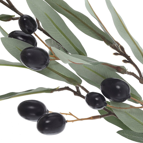 АКСЕССУАРЫ REMECO CLUB (УТ-00005026)