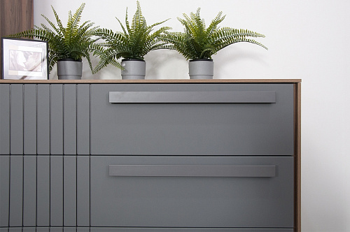 КРЕДЕНЦИЯ ВИЕРА - СЕРЫЙ ШПОН/ОНИКС ГРАФИТ