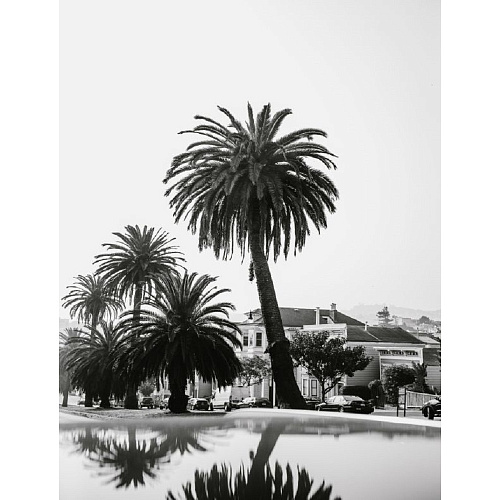 КАРТИНА Б/РАМЫ ПРИНТ - 650*850 ТКАНЬ ВИТАБИ 4