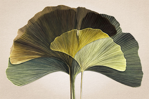 КАРТИНА С РАМОЙ АРТ ДЕКОР - GRAF23067/ЗЕЛЕНЫЙ ГИНКГО