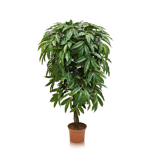 РАСТЕНИЕ ДЕКОР. FLOWER-А (00-00002032)