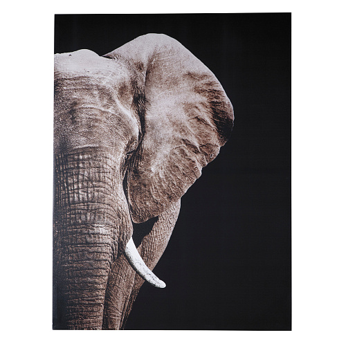 КАРТИНА WALL DECOR (00-00001479)