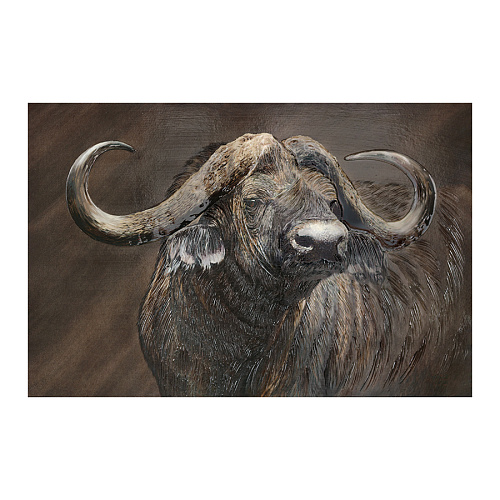КАРТИНА С РАМОЙ КАНВАС ПОСТЕР - 625341/GRAF24068 БЫК