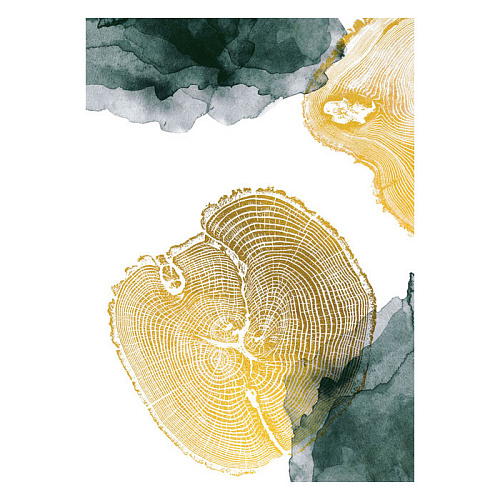 КАРТИНА С РАМОЙ КАНВАС ПОСТЕР (00-00003714)