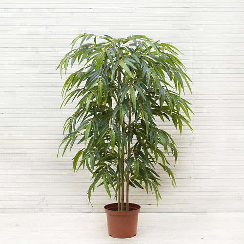 АКСЕССУАРЫ FLOWER-А (00-00002033)