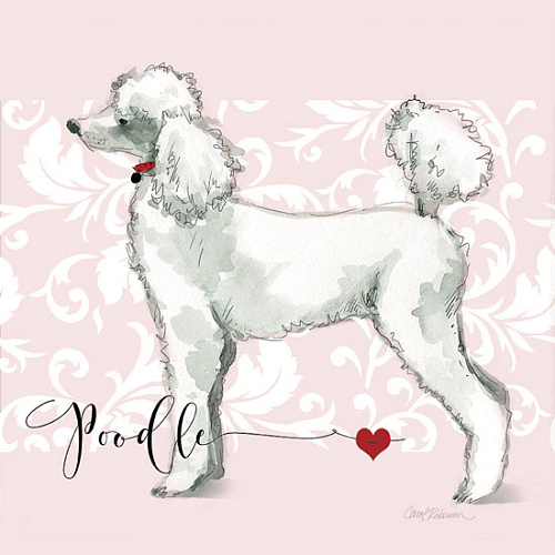 КАРТИНА С РАМОЙ КАНВАС ПОСТЕР (00-00003002)