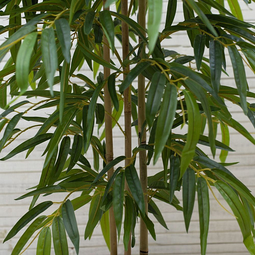 АКСЕССУАРЫ FLOWER-А (00-00002033)